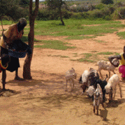 Research team at work in Karamoja